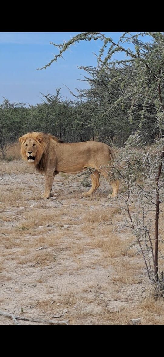 Etosha National Park