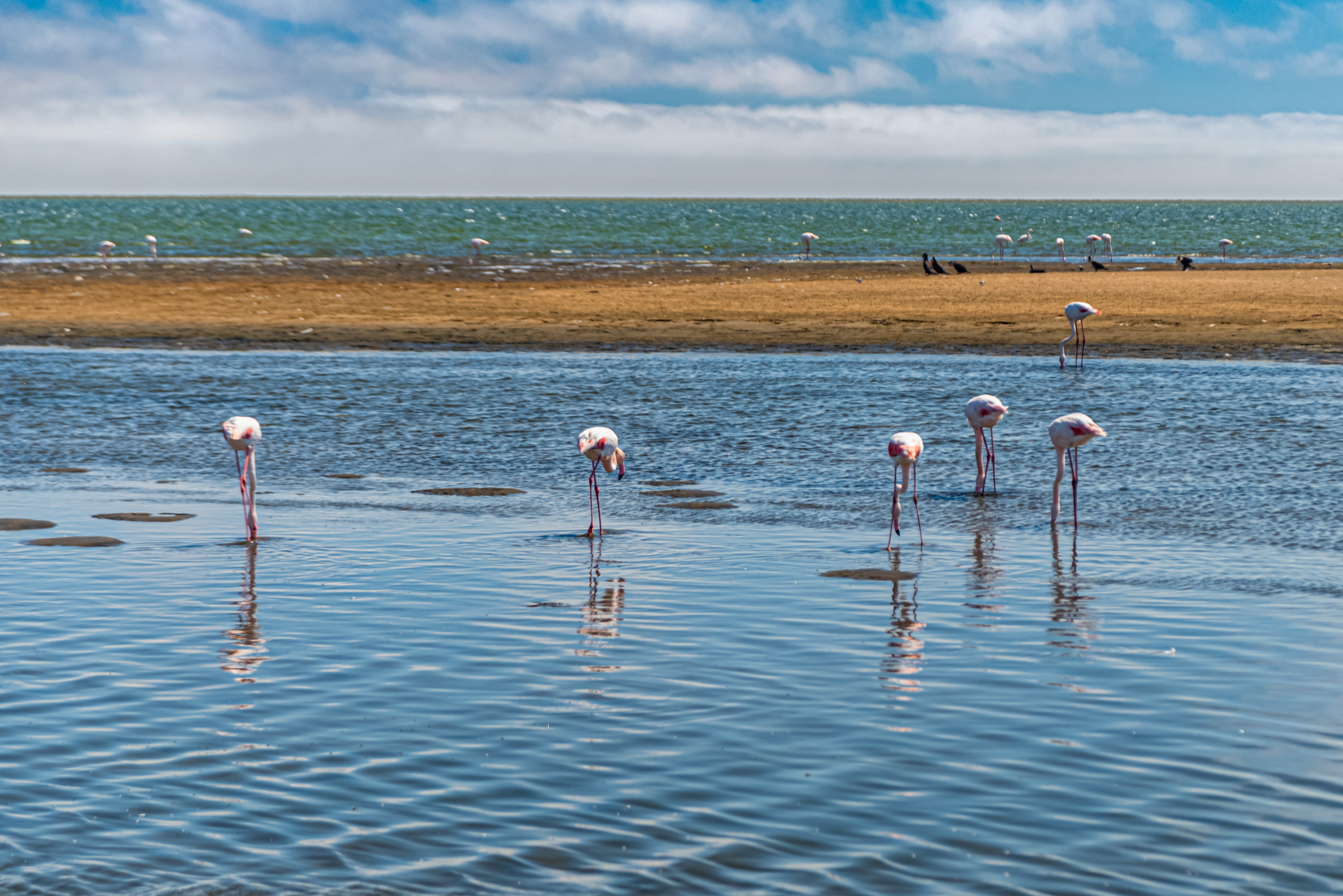 Namibia tour photo 8