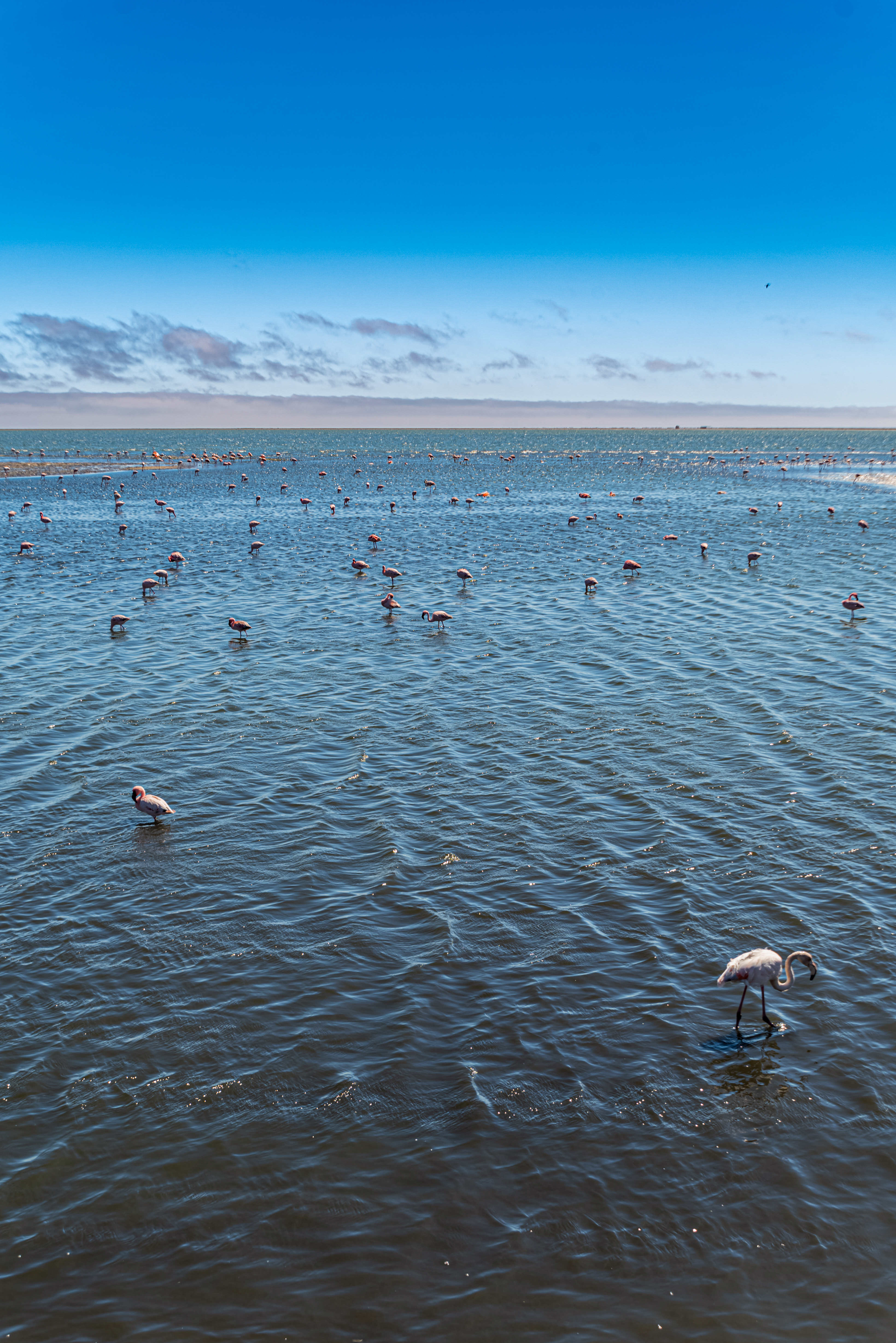 Namibia tour photo 9