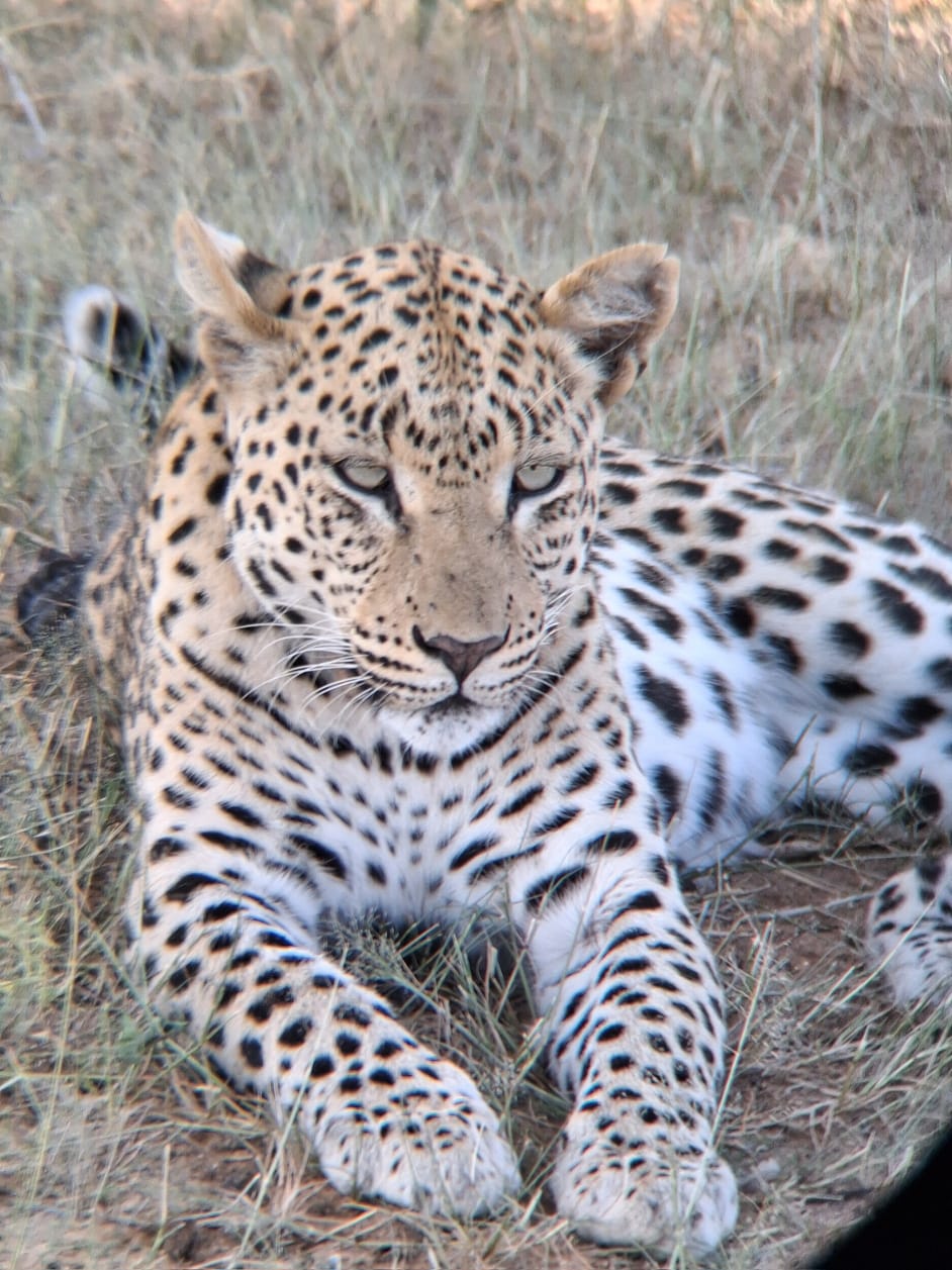 Gocheganas Game Reserve & Spa