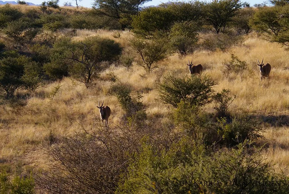 Daan Viljoen Hiking