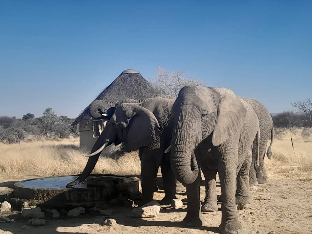 Namibia tour photo 6